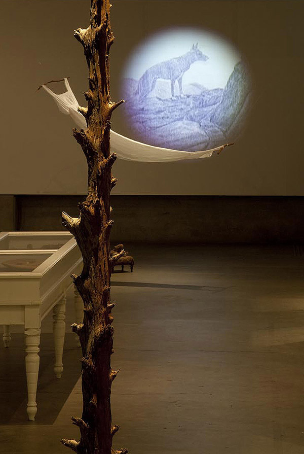 Native pine telegraph pole, sound, projection